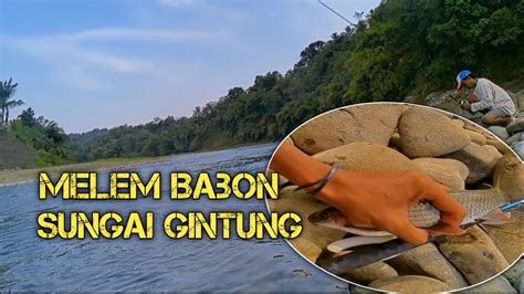 EDAN Mancing Di Arus Deras Sungai GINTUNG PURBALINGGA Hasilnya Di