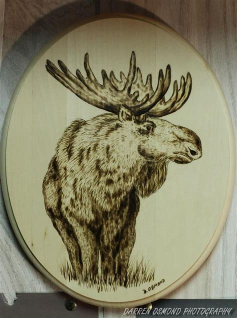 Woodburning Of Moose Wood Carvings Burnings By Darren Osmond