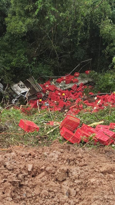 Motorista perde controle da direção e caminhão despenca de ribanceira