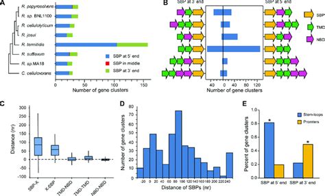 Characteristics of the organization of gene clusters encoding ABC ...