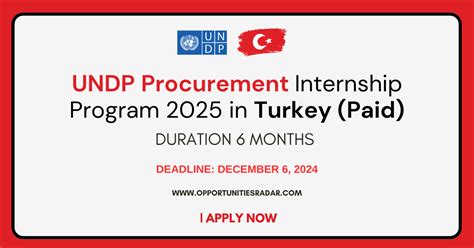 Undp Procurement Internship 2025 In Turkey Paid