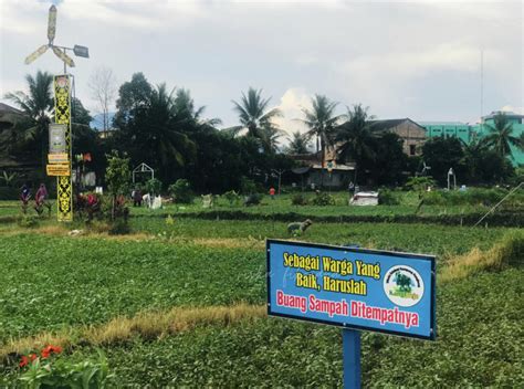 Jelajah Kota Balikpapan Kebun Kangkung Wisata Edukasi Kang Bejo