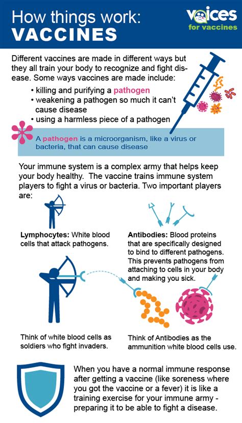 How Vaccines Work Voices For Vaccines