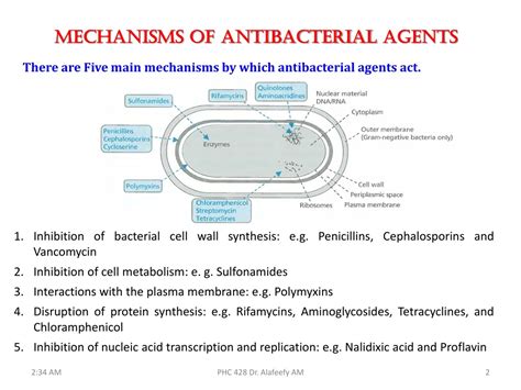 PPT - Antibacterial Agents which Act Against Cell Metabolism PowerPoint Presentation - ID:9249379