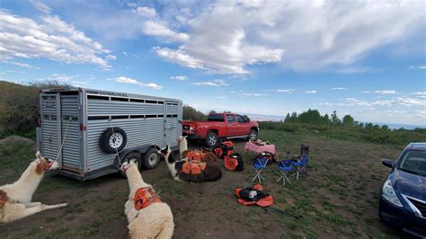 The Vacationer Wilderness Ridge Trail Llamas