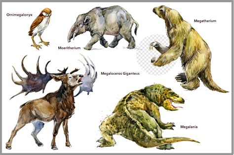 Ice Age Megafauna Png By Elena Faenkova Thehungryjpeg