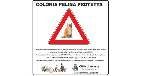 Aversa Colonie Feline Arriva Cartellonistica Su Iniziativa Di Elena