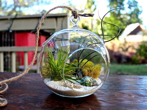 Beautiful Plant Terrariums Home Designing