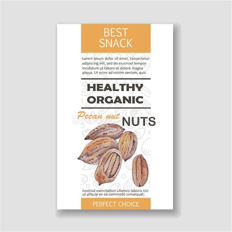 Healthy Pecan Nut Vertical Label Vector Packaging Design Stock Vector