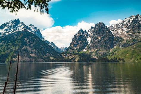 Phelps Lake Expert Tips On Grand Teton S Stunning Alpine Lake