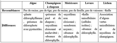 Tableau comparatif thallophytes SVT 5ème Appareil végétatif des