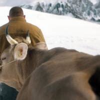 Nominationen für den Schweizer Filmpreis 2023 Berührender Drii Winter