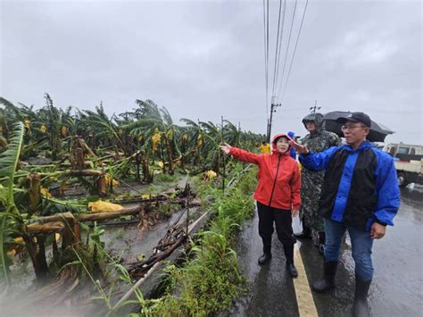 海葵颱風重創屏東農產 900多公頃 農作損失高達1億多元 高屏離島 地方 聯合新聞網