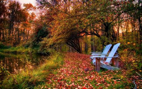 Sfondi Luce Del Sole Alberi Paesaggio Colorato Foresta Autunno