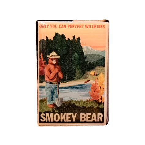 Smokey Bear Retro Art Pin