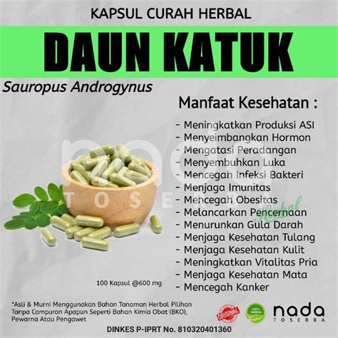 Jual Kapsul Daun Katuk Kapsul Herbal Curah Asi Booster Dan