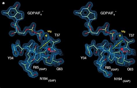 A Stereo View Of A Portion Of The Final 2f O F C Electron Density Map Download Scientific