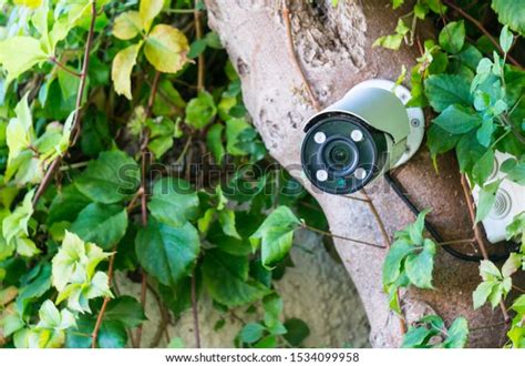 Covert Video Surveillance Camera On Tree Stock Photo Edit Now 1534099958