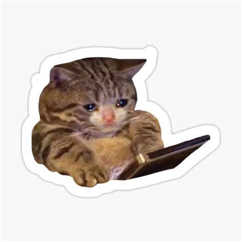 Crying Cat Meme 3 White Outline Sticker For Sale By Cat Reactions Redbubble