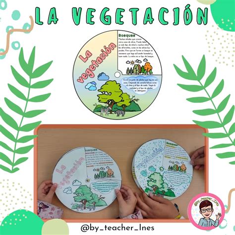 LA VEGETACIÓN