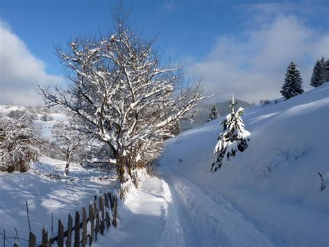 Село Гела сгушено в преспите - Уикенд - Peika.bg