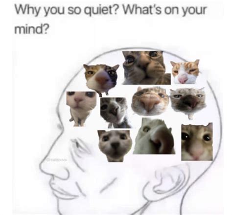 Why You So Quiet Whats On Your Mind Know Your Meme