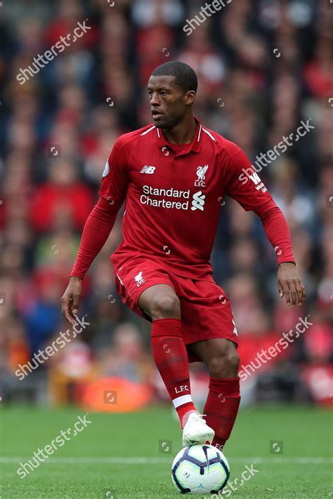 Georginio Wijnaldum Editorial Stock Photo Stock Image Shutterstock