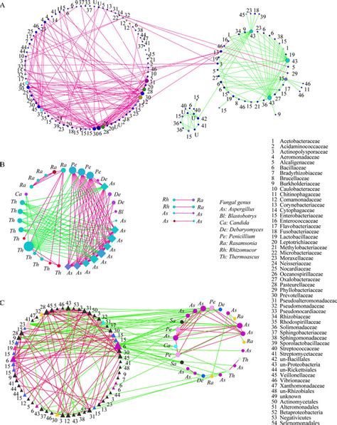 Cooccurrence Networks Of Otus A Bacterium Bacterium Cooccurrence