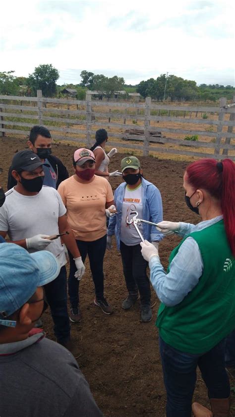 Curso Oferecido Pelo Senar Roraima Capacita Produtores Rurais