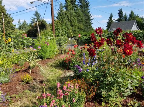 Our New Pollinator Garden Is Rockinit Right Now Rgardenwild