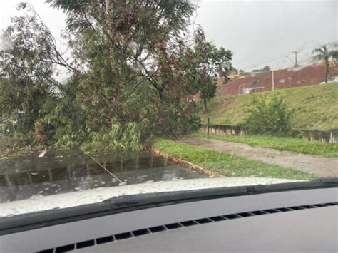 Chuva Forte Derruba Rvore Na Marginal