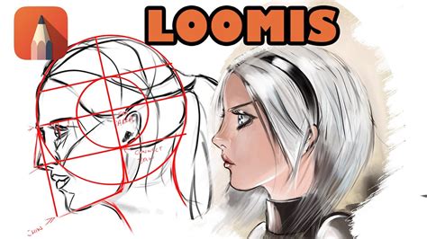 How To Draw The Side View Of A Face Profile Loomis Method