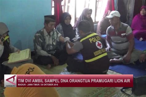 Tim Dvi Ambil Sampel Dna Orang Tua Pramugari Lion Air Antara News