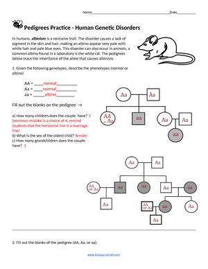 Chapter 15 Summary Lesson 15 Human Genetic Disorders What Is