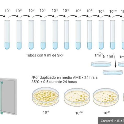 Diagrama del método NMP estándar para agua de consumo humano