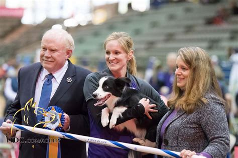 Interview With AKC National Agility Winner Jennifer Crank WorksSOwell