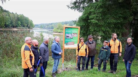 Fichte Co Am Orrotsee Neuer Wald Pfad Zeigt Den Wandel