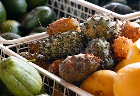 Kiwano Tropical Fruit African Horned Cucumber Horned Melon Spiked