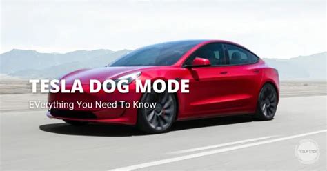 Tesla Dog Mode Complete Guide Everything You Need To Know