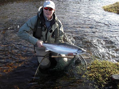 Atlantic Salmon Ness And Beauly Fisheries Trust