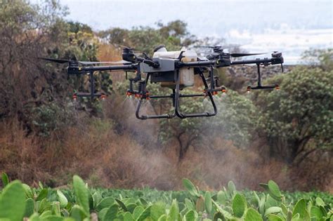 Con dron agrícola mejoran calidad de cultivos en Suelo de Conservación