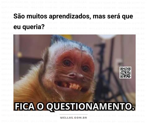 Memes Para Redes Sociais Wellas Pensamentos E Ideias