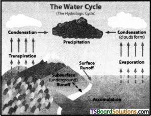 Ts Inter St Year Environmental Education Study Material Chapter