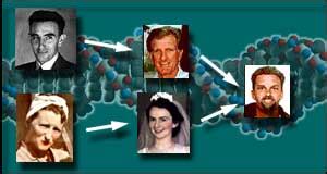 What is genetics and heredity?