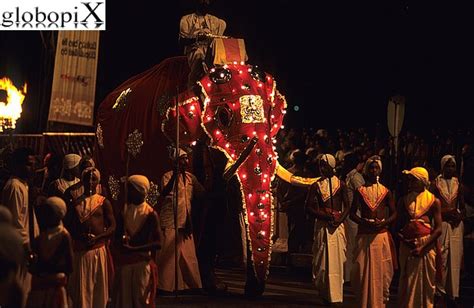 PHOTO SRI LANKA: KANDY - ESALA PERAHERA - Globopix