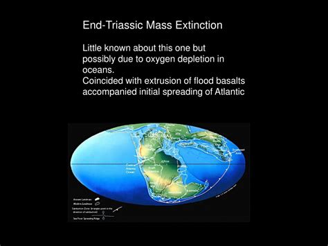 PPT - Cretaceous Calamity: The Cretaceous-Tertiary Mass Extinction (and ...