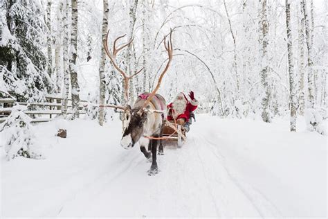 Reindeer Sleigh Ride And Farm Experience From Rovaniemi 2024