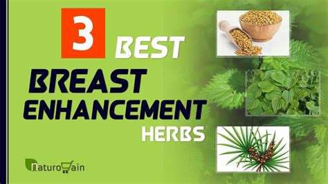 3 Herbs For Breast Enhancement To Keep Your Boobs Healthy In 30s Youtube