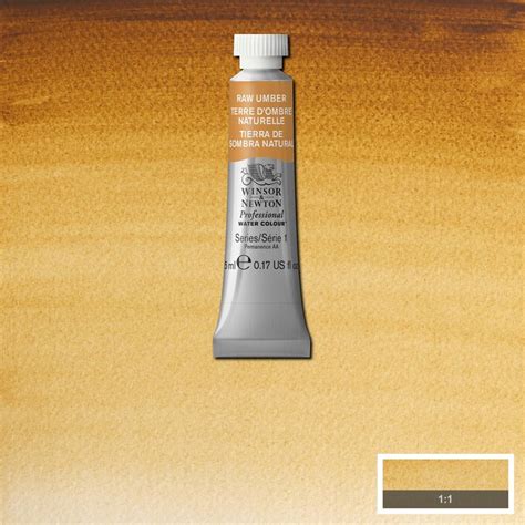 Professional Water Colour Raw Umber United Art Education