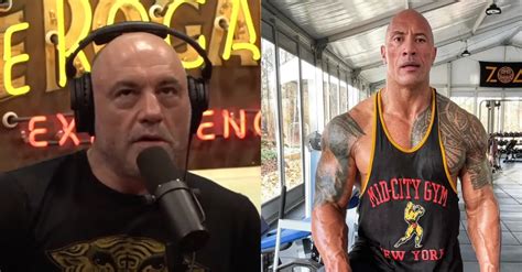 Joe Rogan Wants ‘the Rock To Come Clean About Steroid Use After Liver King Scandal The Hook News